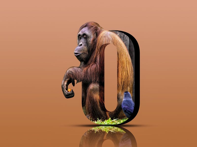 Habitat Design